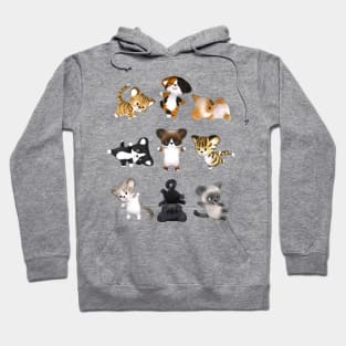 Cat Yoga Hoodie